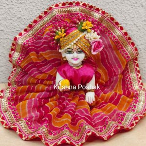 Fancy Premium Fabric Poshak With Heavy Mukut - K4