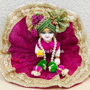 Fancy Poshak -Festival Collection -With Heavy Mukut 08