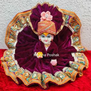Winter Collection - Velvet Poshak With Fancy Work With Mukut 29