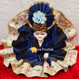Winter Collection - Velvet Poshak With Fancy Work With Mukut & Patka 28