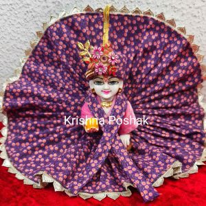 Winter Collection - Velvet Poshak With Fancy Work With Mukut & Patka 16
