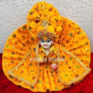 Winter Collection - Velvet Poshak With Fancy Work With Mukut & Patka 09