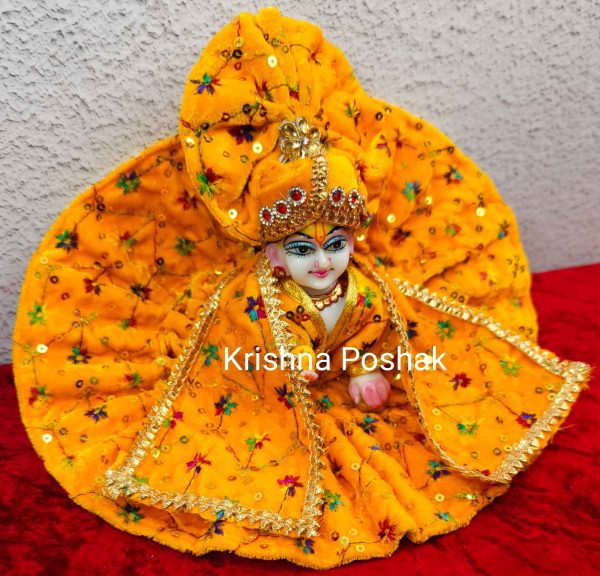Winter Collection - Velvet Poshak With Fancy Work With Mukut & Patka 09 - Image 3