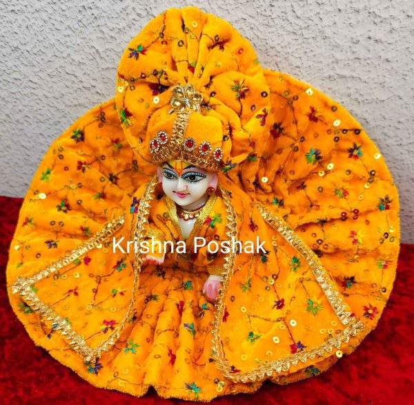 Winter Collection - Velvet Poshak With Fancy Work With Mukut & Patka 09 - Image 4