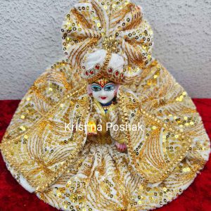 Winter Collection - Velvet Poshak With Fancy Work With Mukut & Patka  01