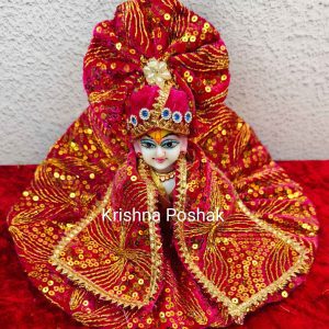 Winter Collection - Velvet Poshak With Fancy Work With Mukut & Patka 05