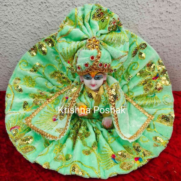 Winter Collection - Velvet Poshak With Fancy Work With Mukut & Patka 13