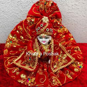 Winter Collection - Velvet Poshak With Fancy Work With Mukut & Patka 10