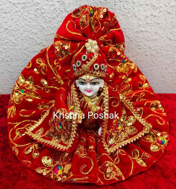 Winter Collection - Velvet Poshak With Fancy Work With Mukut & Patka 10
