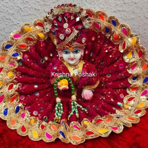 Winter Collection - Velvet Poshak With Fancy Work With Mukut & Patka 12