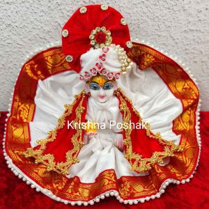 Winter Collection - Velvet Poshak With Fancy Work With Mukut & Patka 25