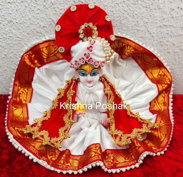 Winter Collection - Velvet Poshak With Fancy Work With Mukut & Patka 25