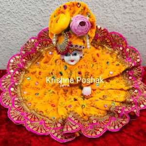 Winter Collection - Velvet Poshak With Fancy Work With Mukut & Patka 23