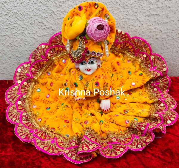 Winter Collection - Velvet Poshak With Fancy Work With Mukut & Patka 23
