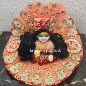 Fancy Premium Work Poshak With Heavy Mukut – Kp024