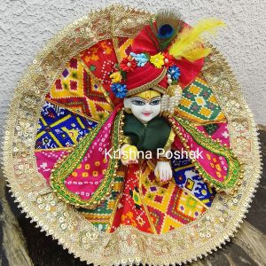 Fancy Premium Work Poshak With Heavy Mukut & Patka – Kp033