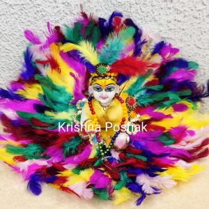 Fancy Poshak For Laddu Gopalji - AP2