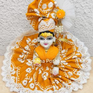 Fancy Poshak For Laddu Gopalji – AP27