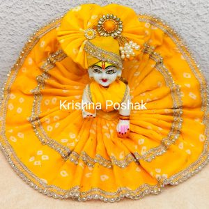Premium Fancy Poshak for Laddu Gopalji – M11 Celebrate Devotion with Style