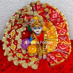 Fancy Dress For Laddu Gopalji Perfect for Festivals & Worship - J2