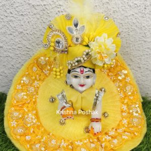 Beautiful Fancy Poshak With Heavy Mukut For Laddu Gopalji - 100