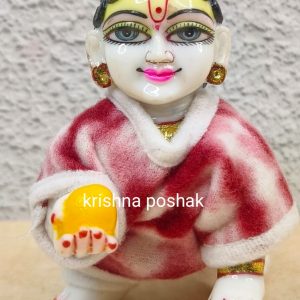 Beautiful Winter Night Suit For Laddu Gopalji- 8