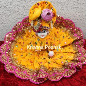 Winter Velvet Poshak With Mukut For Laddu Gopalji-203
